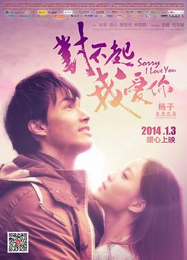 对不起，我爱你2014海报