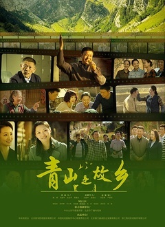 青山是故乡海报