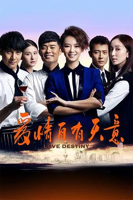 爱情自有天意2013[电影解说]海报