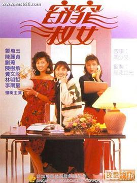 窈窕淑女1988海报