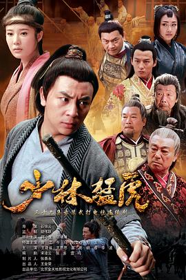 武林猛虎[电影解说]海报