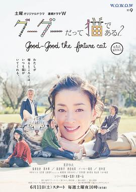 咕咕是一只猫第二季海报
