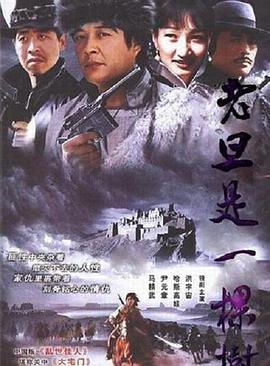 老旦是一棵树[电影解说]海报