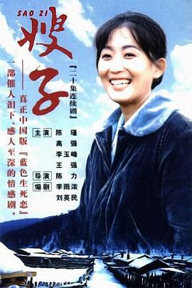 嫂子1998[电影解说]海报