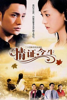 情证今生[电影解说]海报