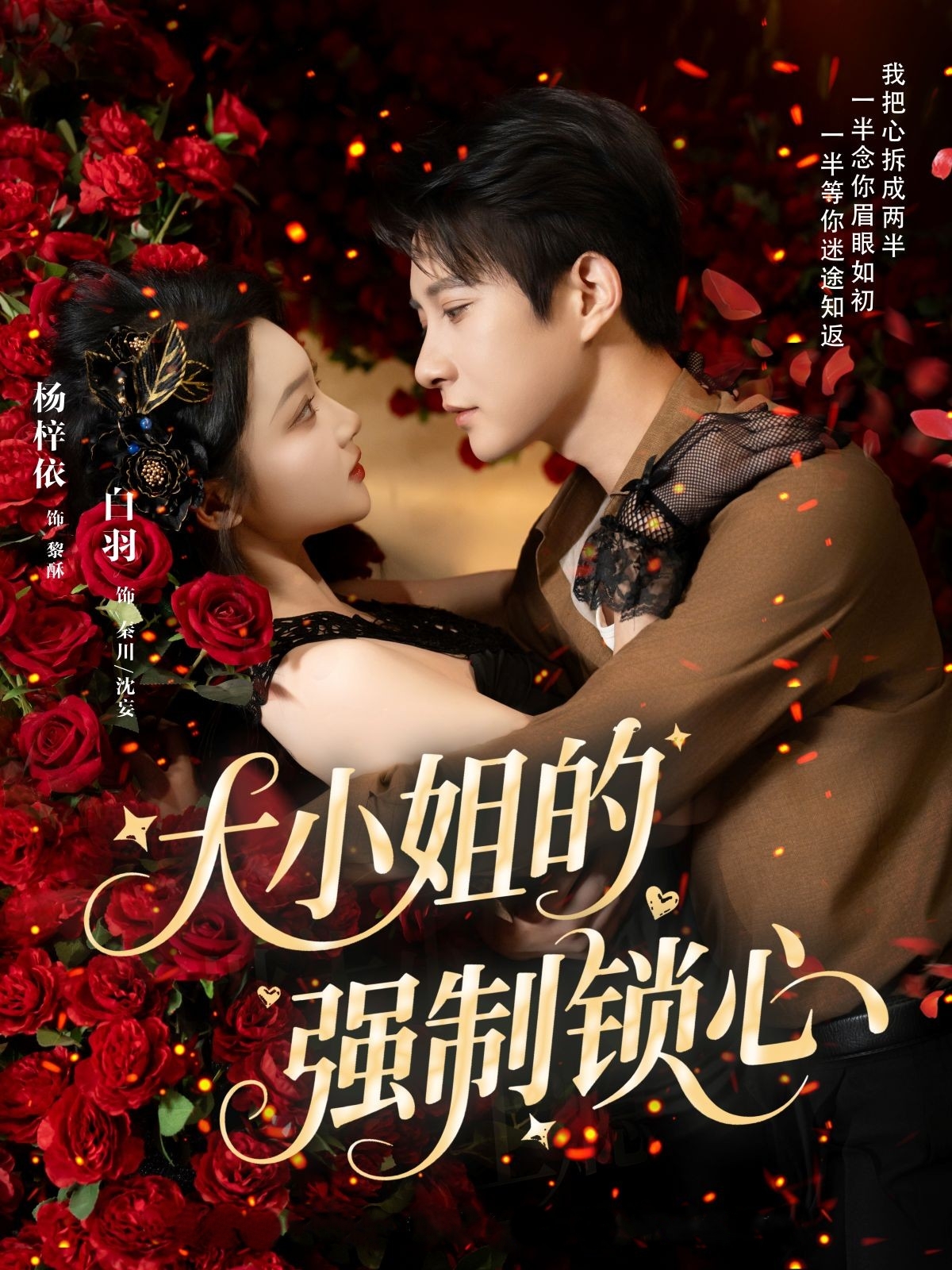 大小姐的强制锁心海报