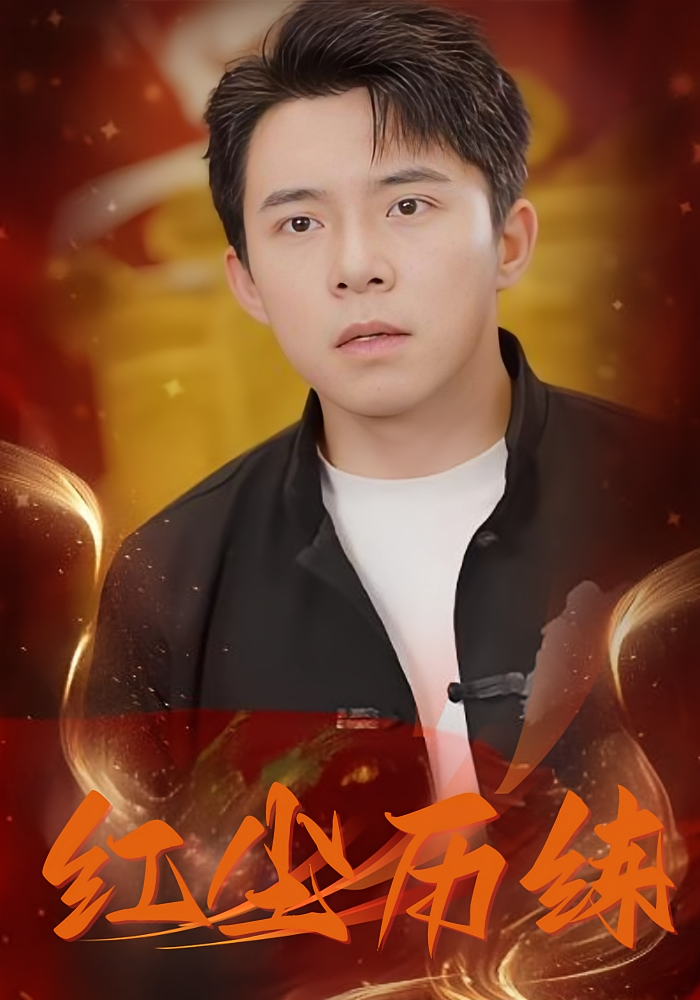 红尘历练海报