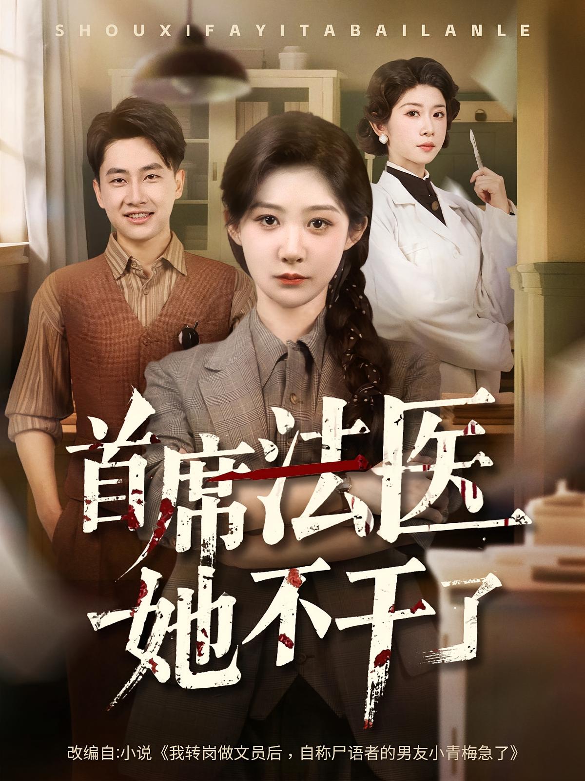 首席法医她不干了海报