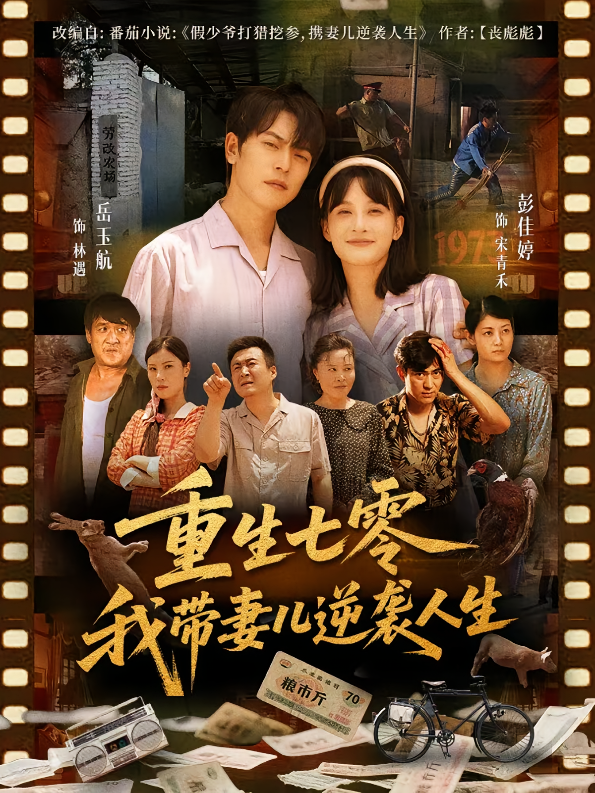 重生七零我带妻儿逆袭人生海报