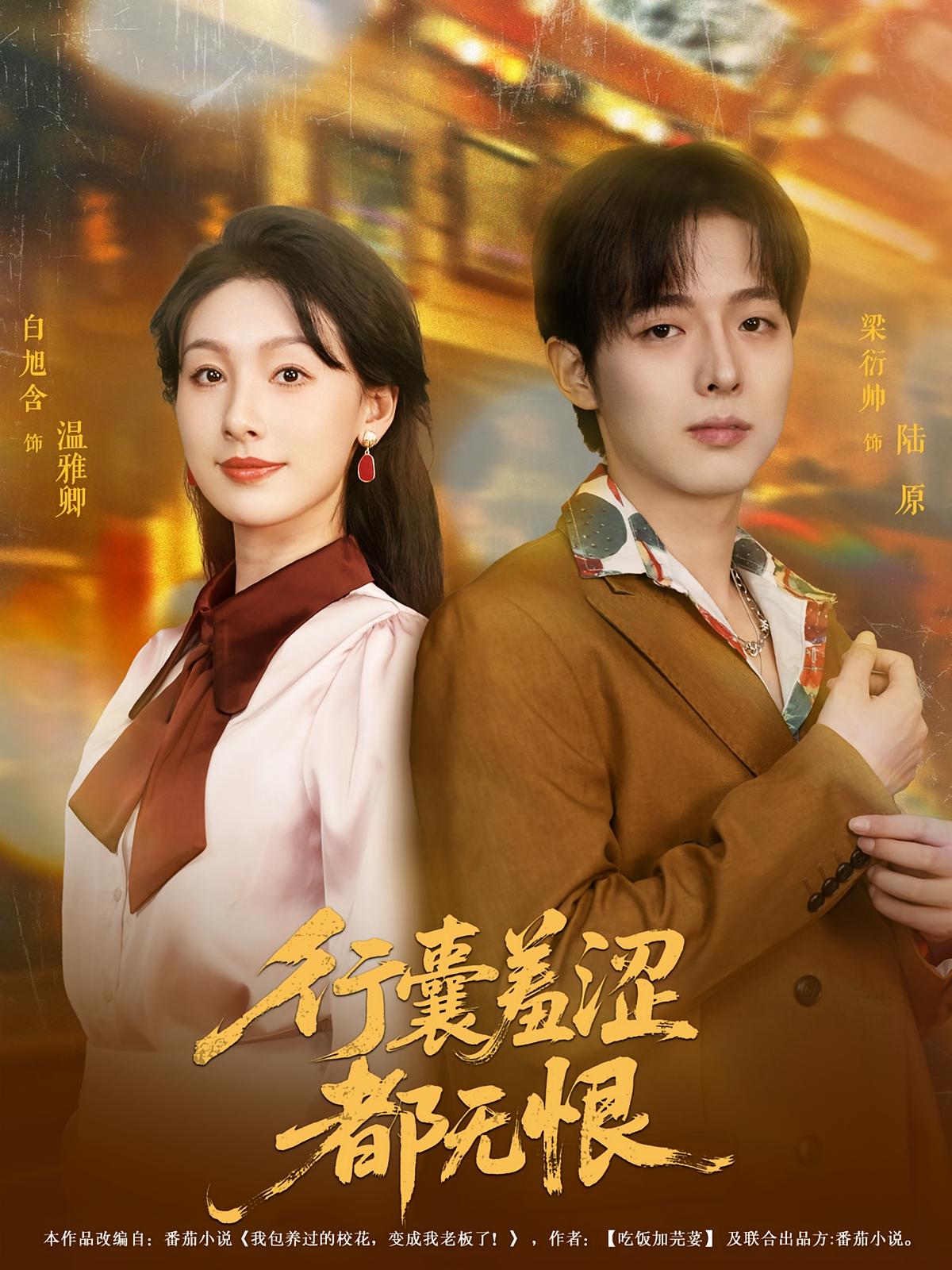行囊羞涩都无恨海报