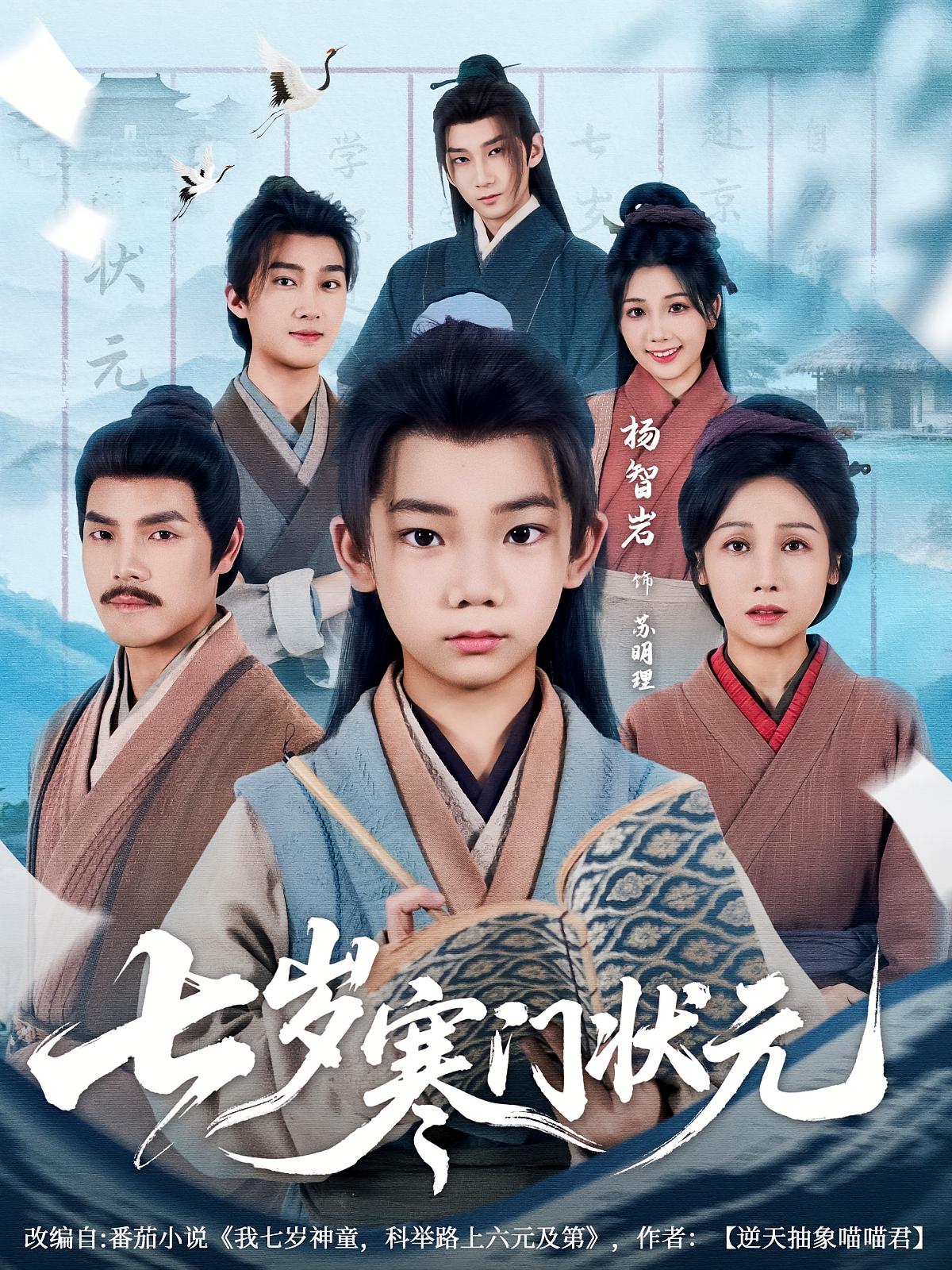 七岁寒门状元海报