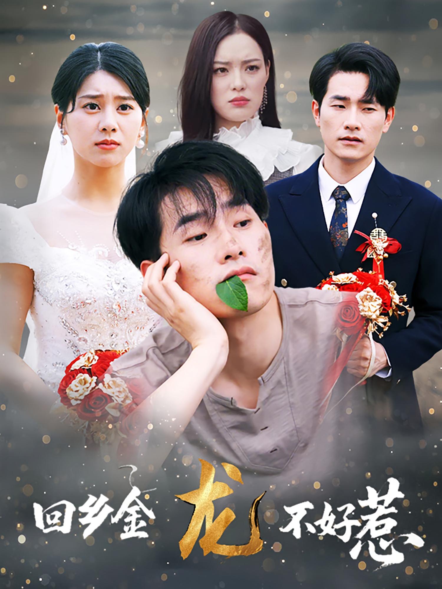 回乡金龙不好惹海报