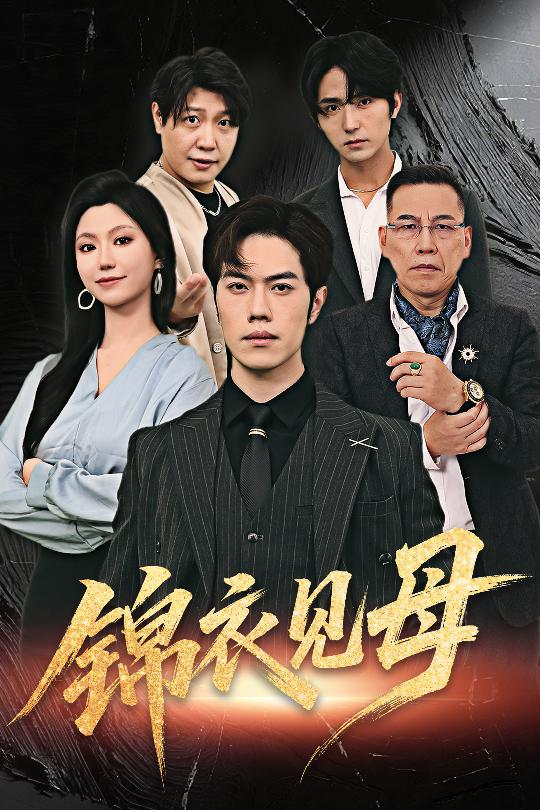 锦衣见母海报