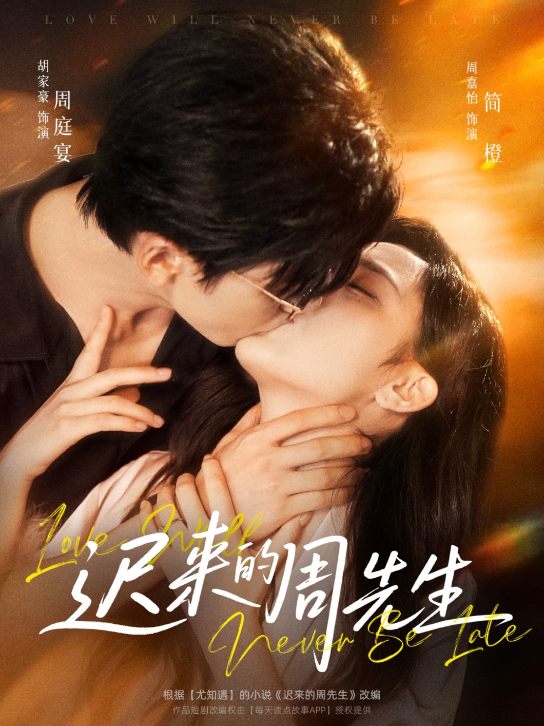 迟来的周先生海报