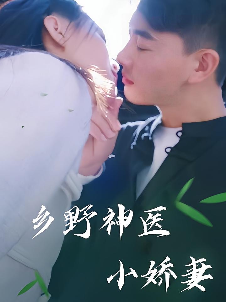 乡野神医小娇妻海报