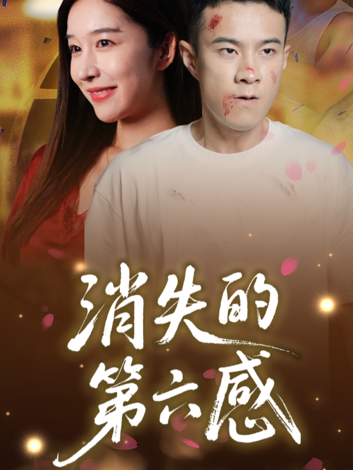消失的第六感海报
