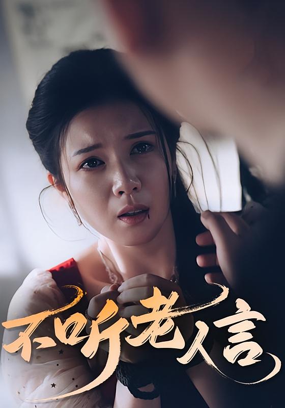 不听老人言海报