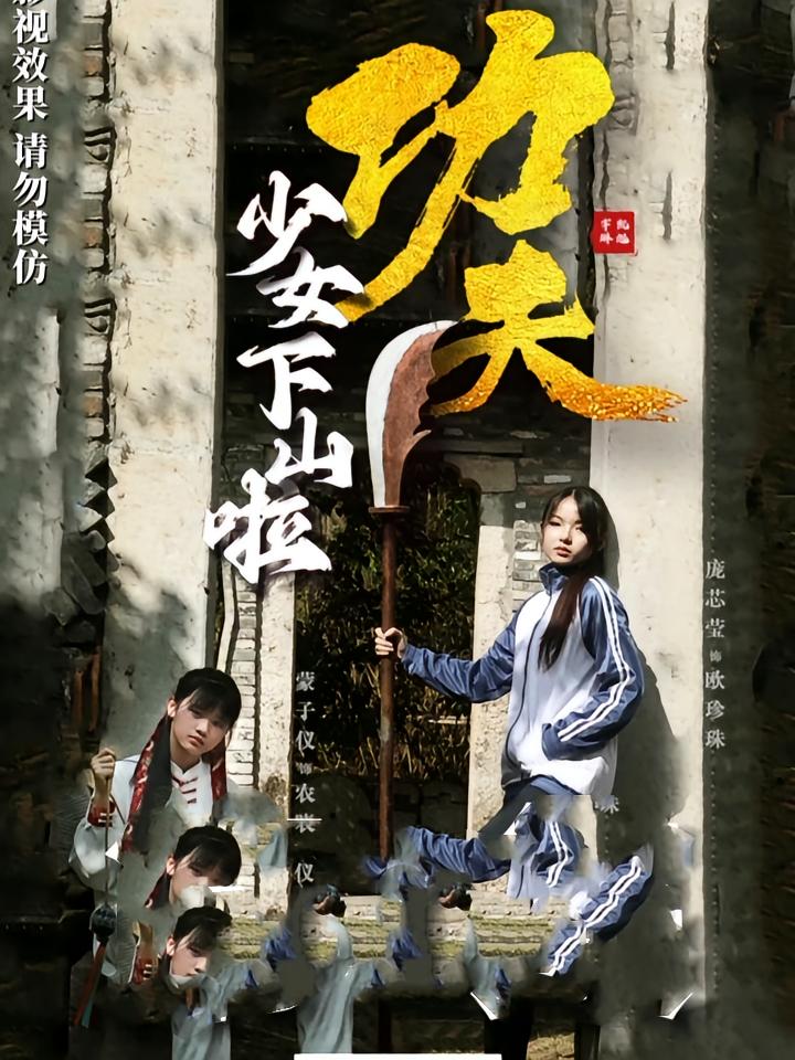 功夫少女，功夫少女下山啦海报