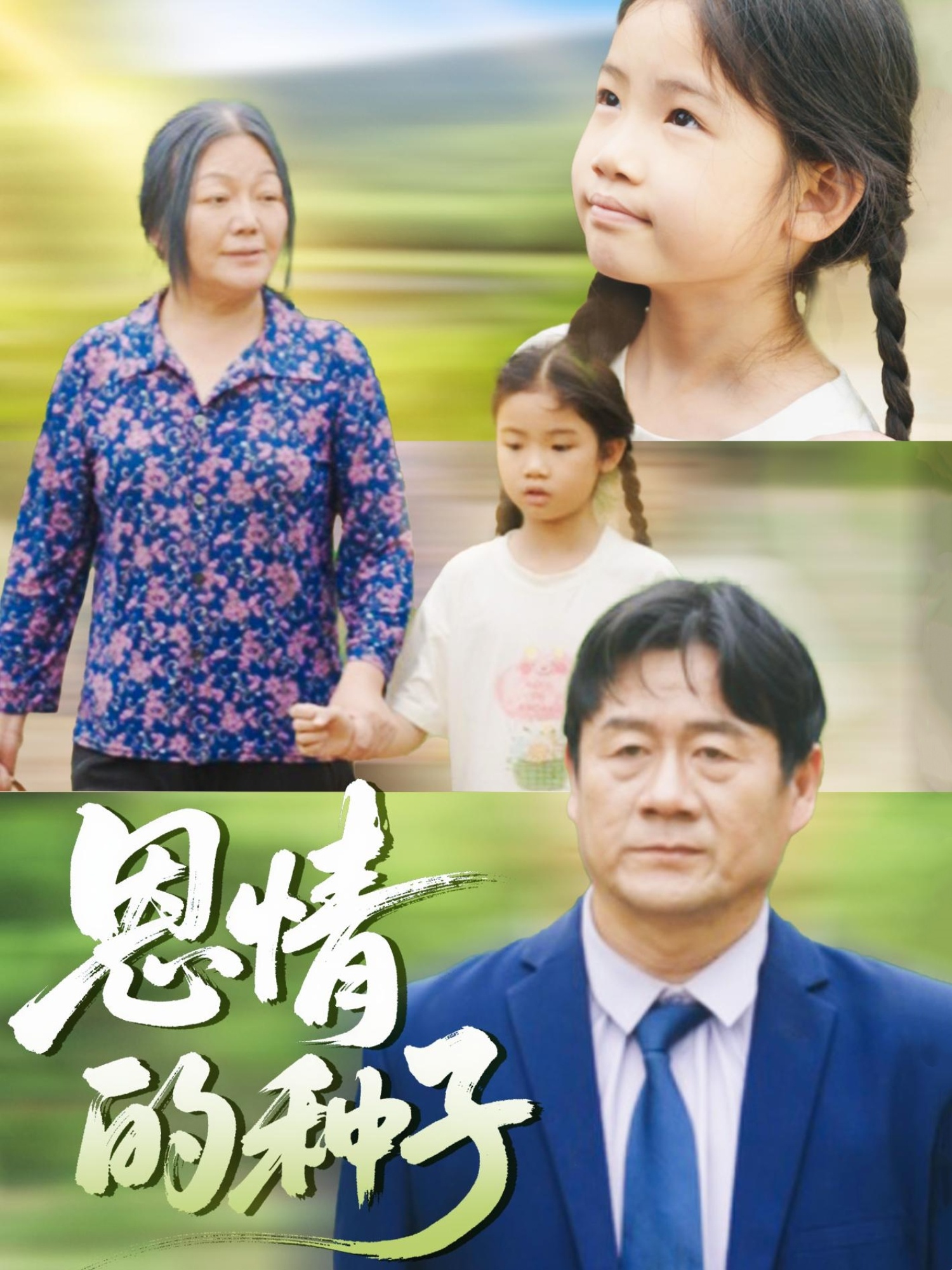恩情的种子海报
