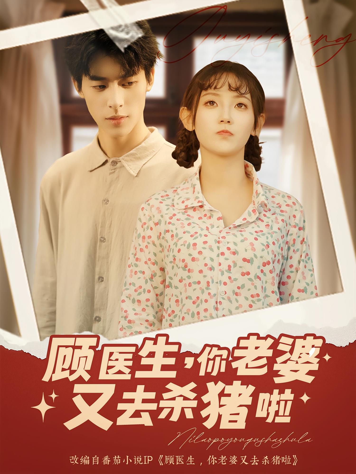 顾医生你老婆又去杀猪啦海报