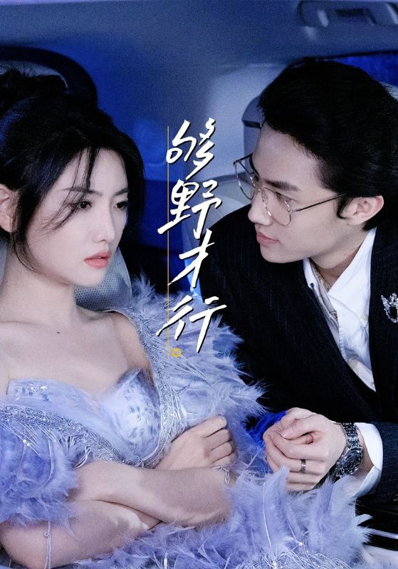 够野才行海报