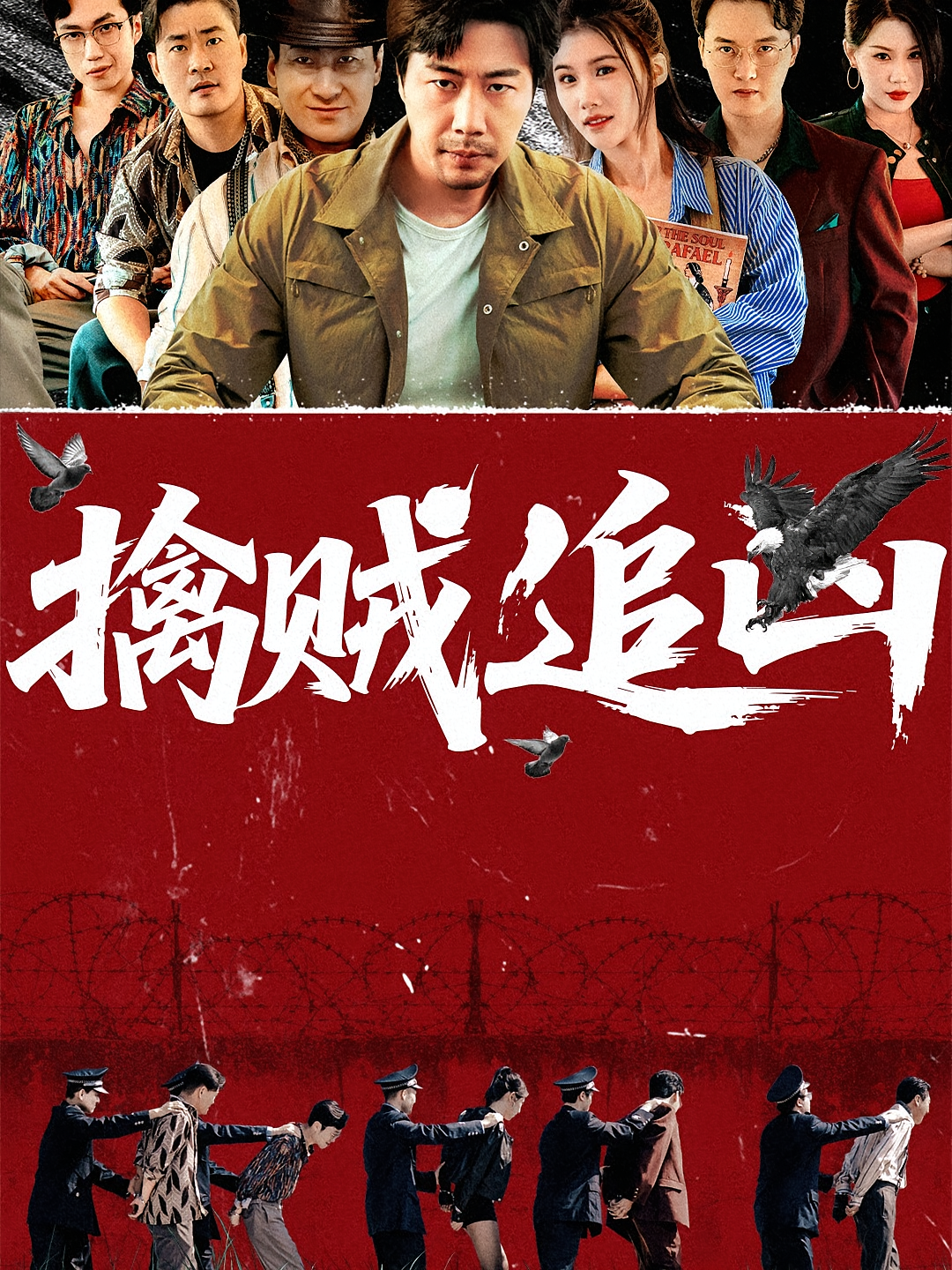 擒贼追凶海报