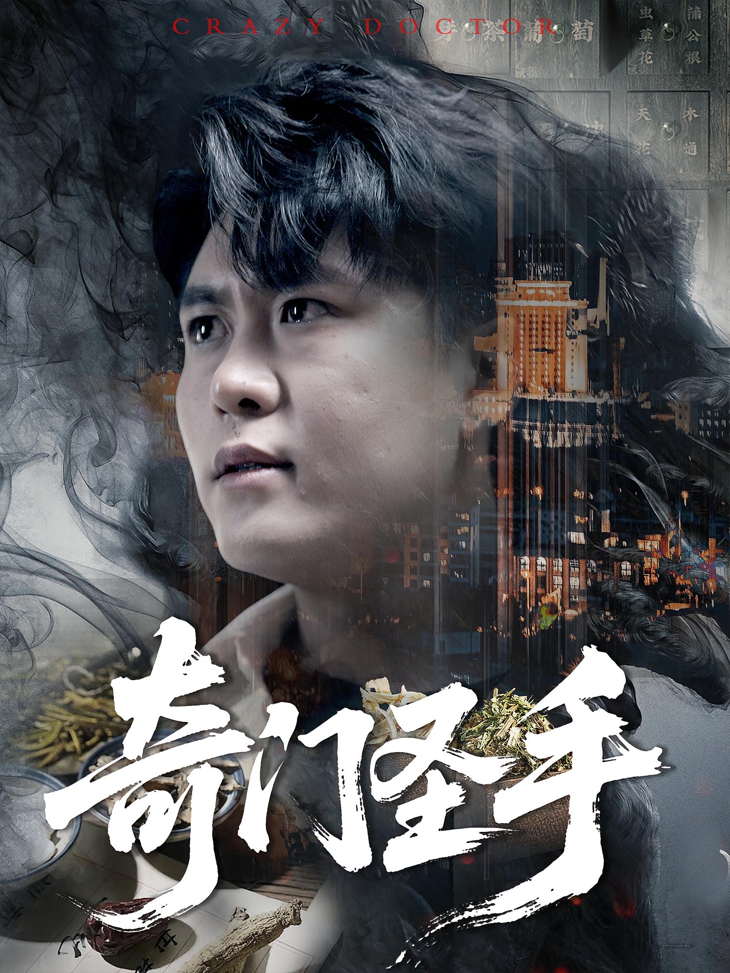 奇门圣手海报