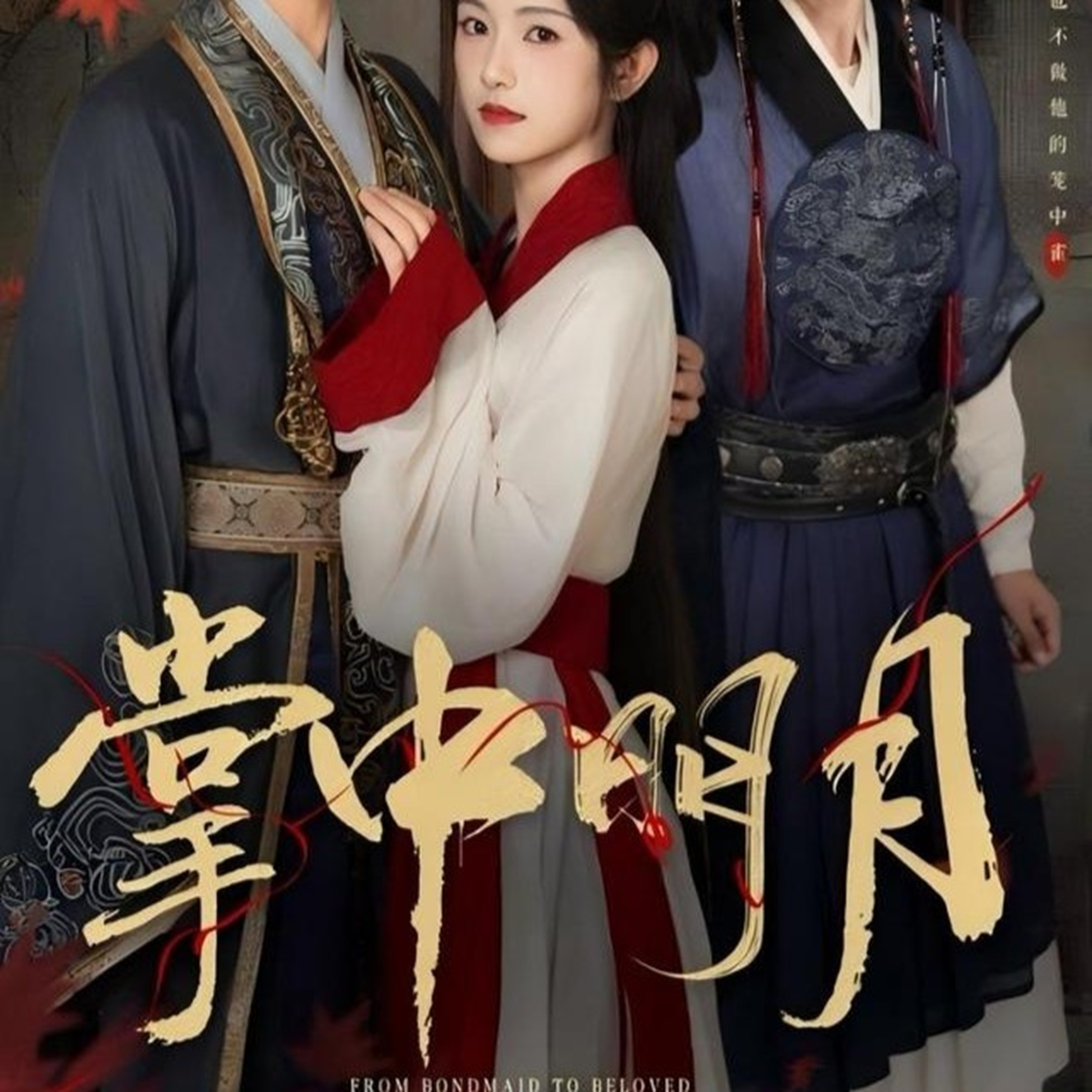 掌中明月海报