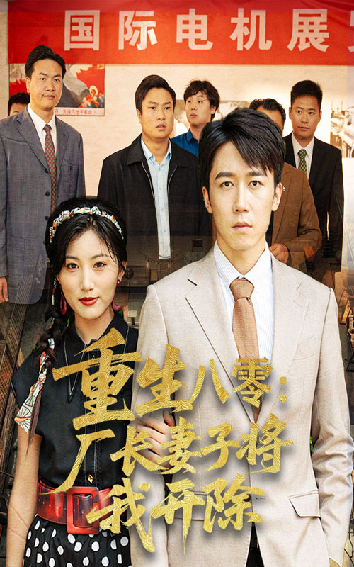 重生八零厂长妻子将我开除海报
