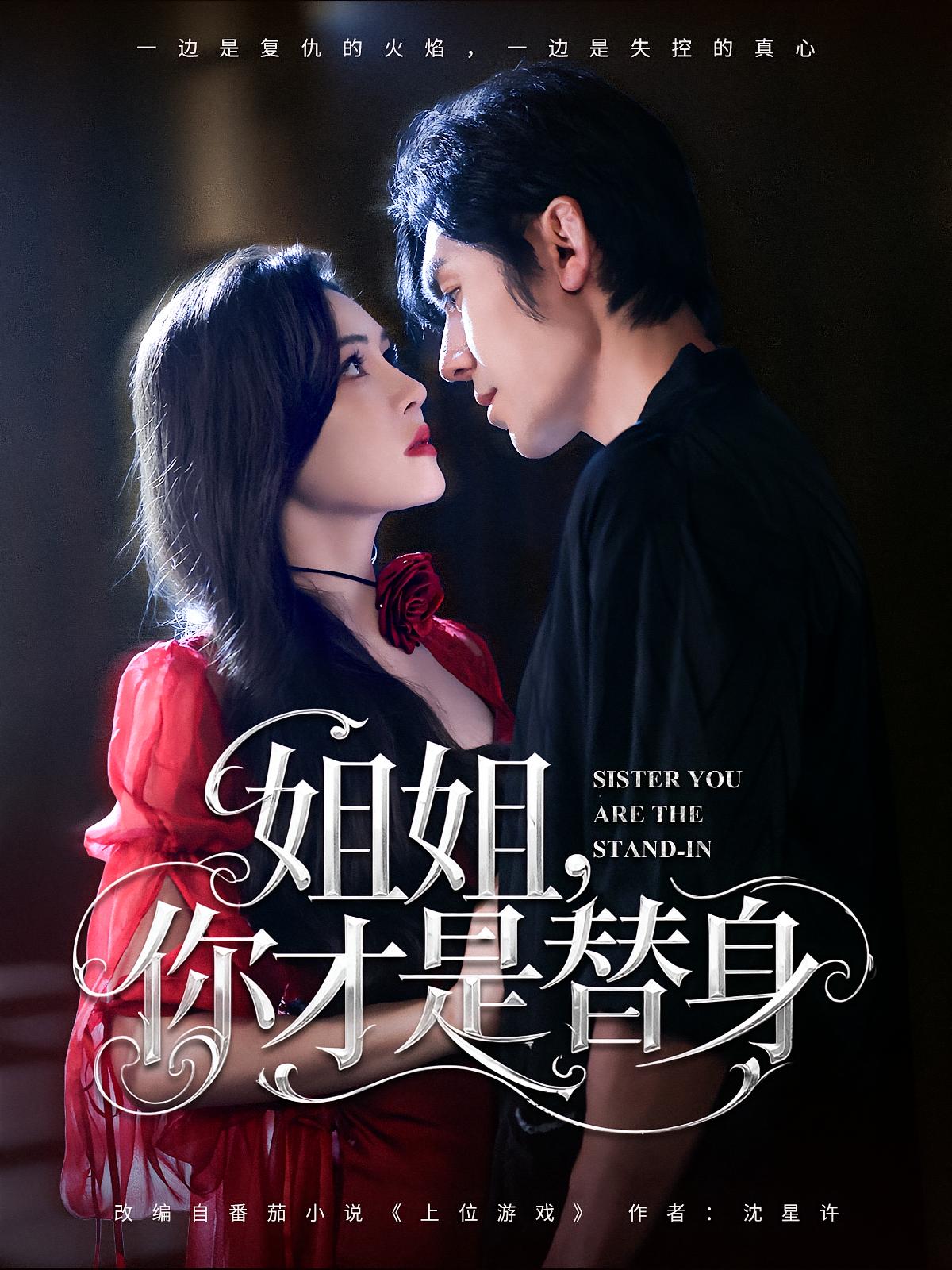 姐姐你才是替身海报