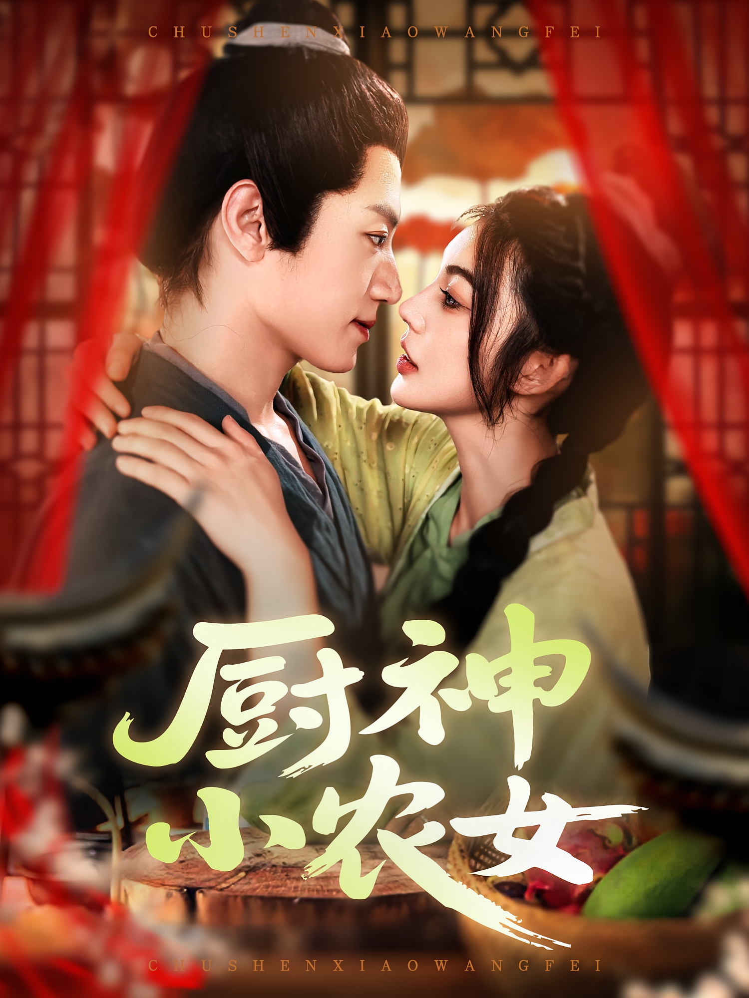 厨神小农女海报