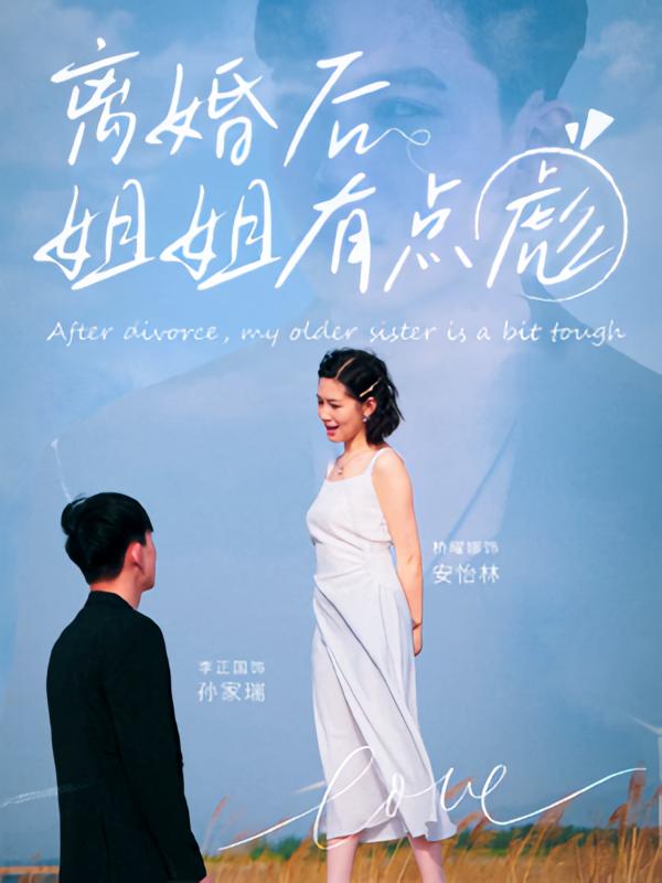 离婚后姐姐有点彪海报