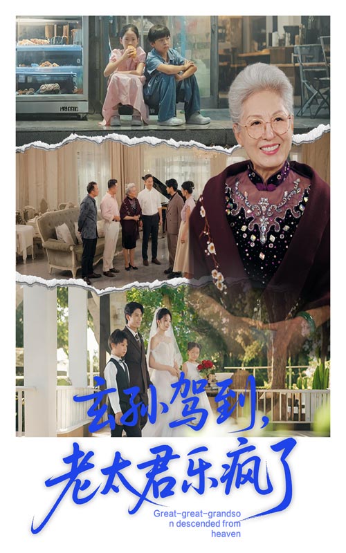 玄孙驾到老太君乐疯了海报