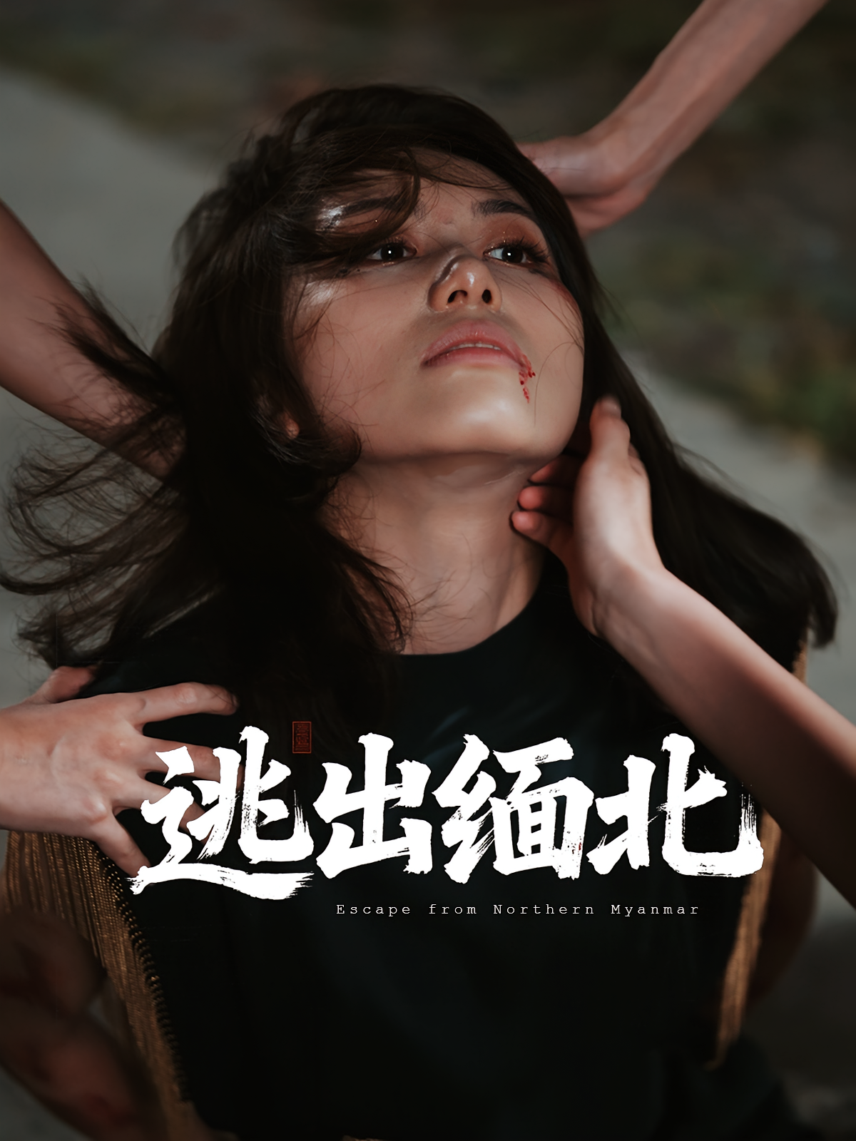 逃出缅北海报