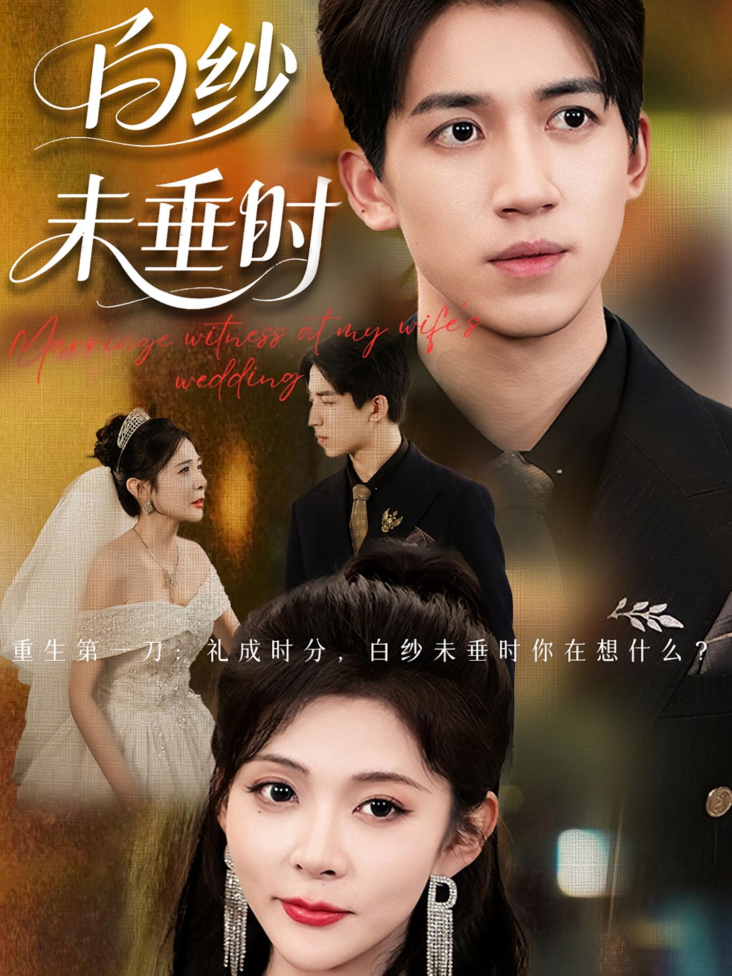 老婆婚礼我当证婚人，白纱未垂时海报