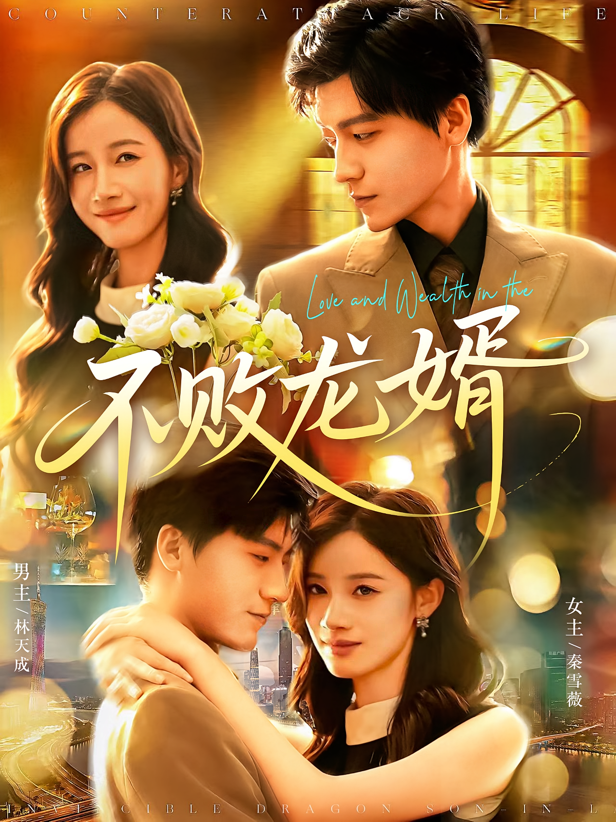 不败龙婿海报