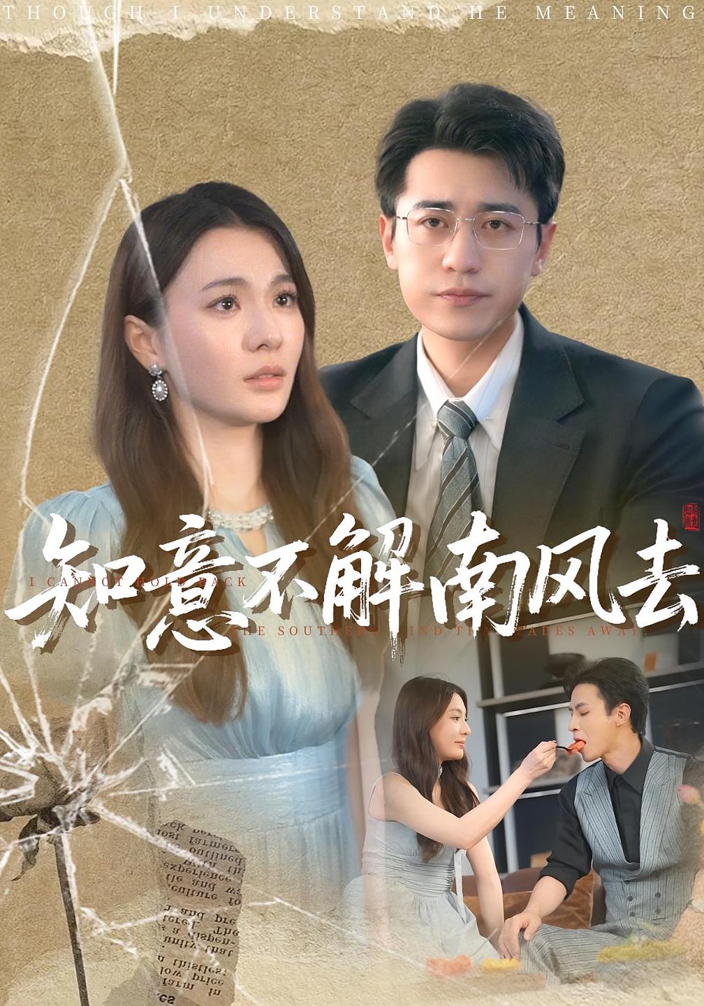 知意不解南风去海报
