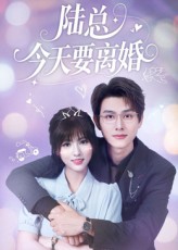 陆总今天要离婚海报