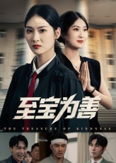 至宝为善海报