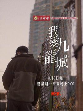 我爱九龙城海报