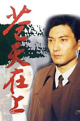 苍天在上1995[电影解说]海报