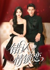 错认情锁恋海报