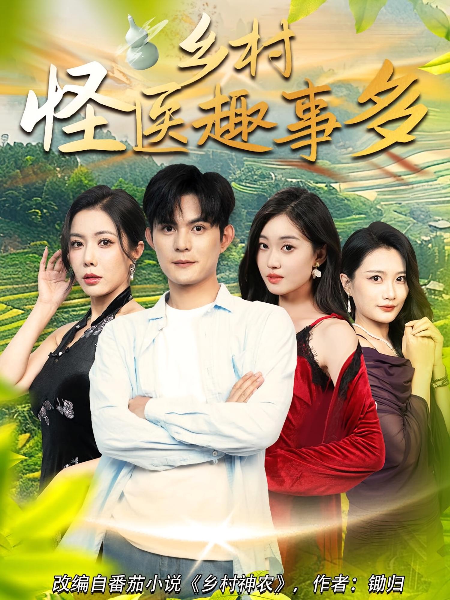 乡村怪医趣事多海报