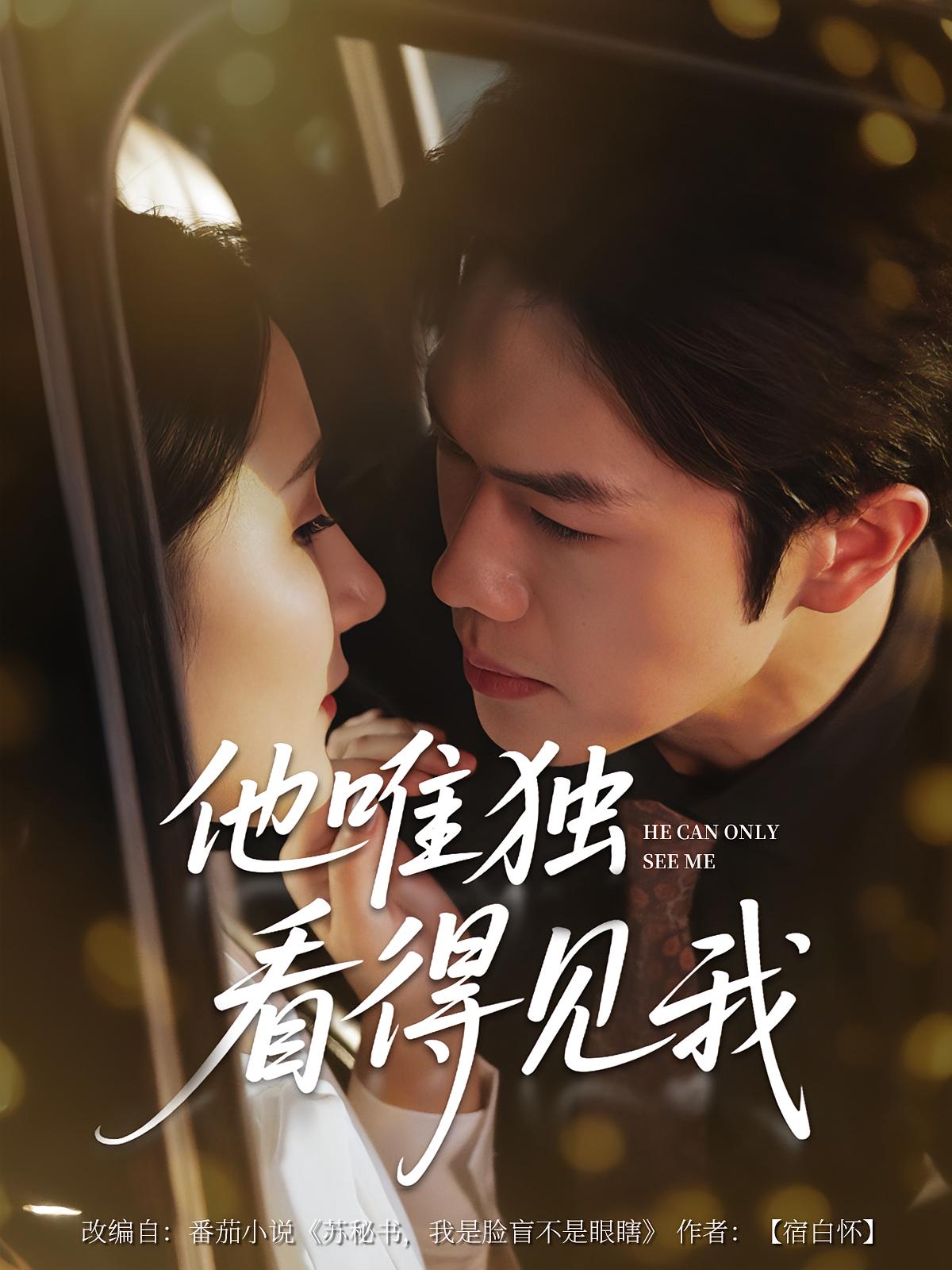 他唯独看见我海报