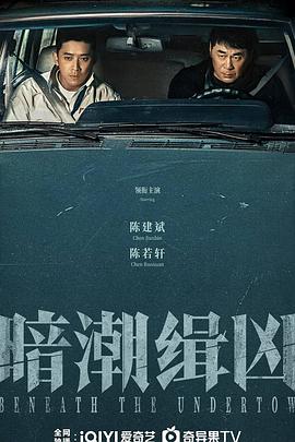暗潮缉凶海报