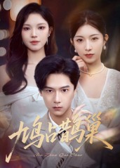 鸠占鹊巢，顶流夫人的致命陷阱海报