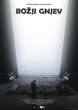 天怒行动海报