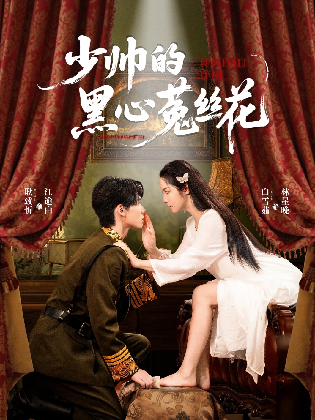 少帅的黑心菟丝花海报