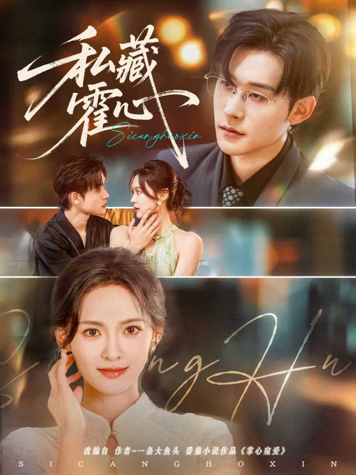 私藏霍心海报