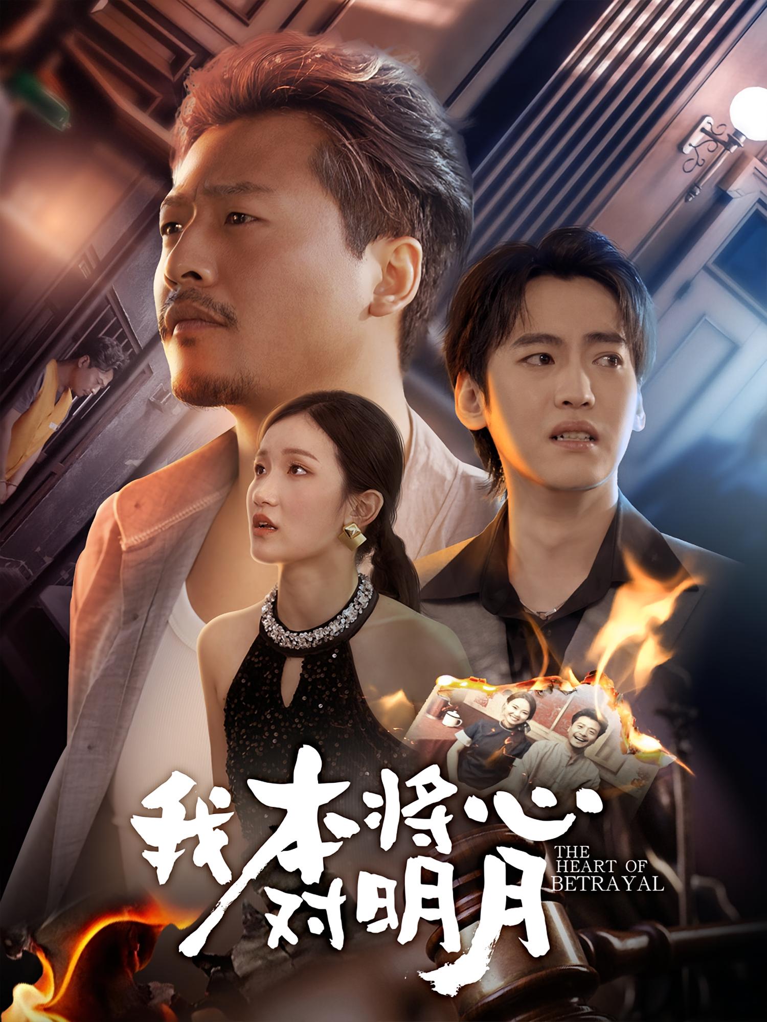 我本将心对明月海报